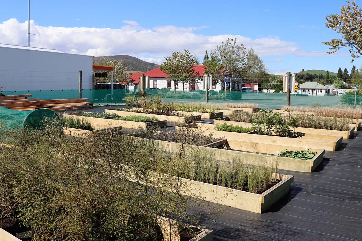 Reforest Northern Southland - A Native Tree Reforestation Project