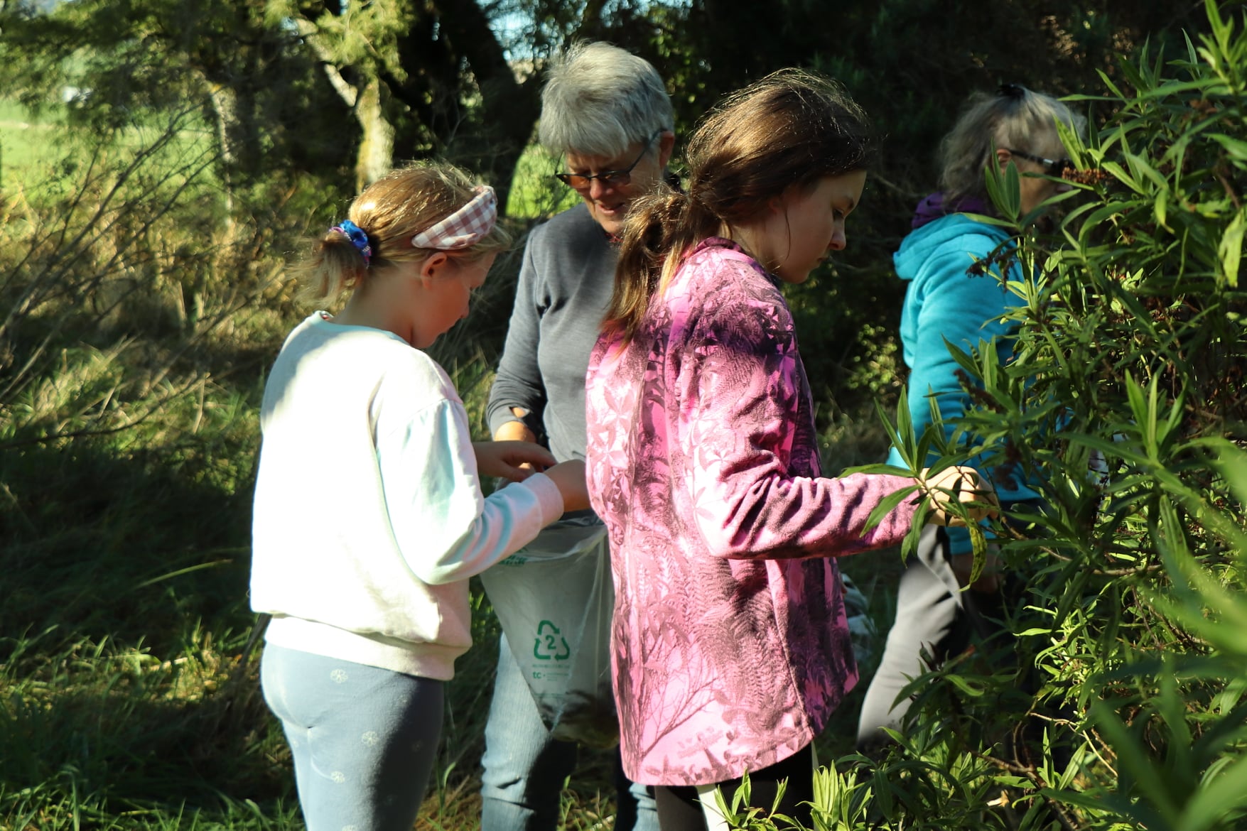 Reforest Northern Southland - A Native Tree Reforestation Project
